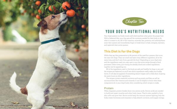 Easy Dog Food Recipes: 60 Healthy Dishes to Feed Your Pet Safely - Image 7