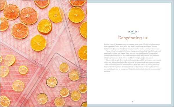 Complete Dehydrator Cookbook: How to Dehydrate Fruit, Vegetables, Meat & More - Image 2