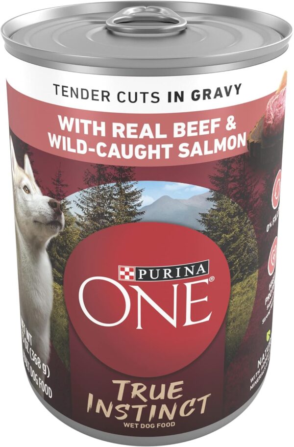 Purina ONE High Protein Wet Dog Food True Instinct Tender Cuts in Dog Food Gravy With Real Beef and Wild-Caught Salmon - (Pack of 12) 13 oz. Cans