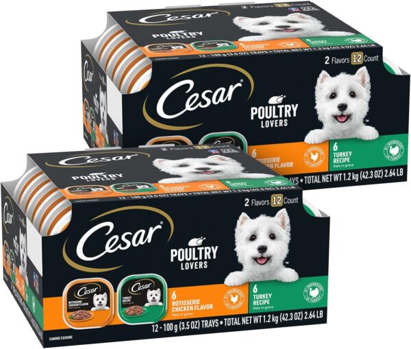 CESAR Filets in Gravy Adult Wet Dog Food, Poultry Lovers Variety Pack, 3.5 oz., Pack of 24