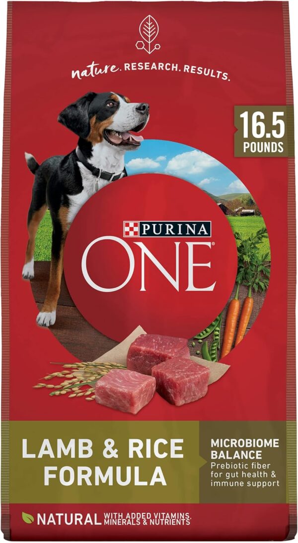 Purina ONE Dry Dog Food Lamb and Rice Formula - 16.5 lb. Bag