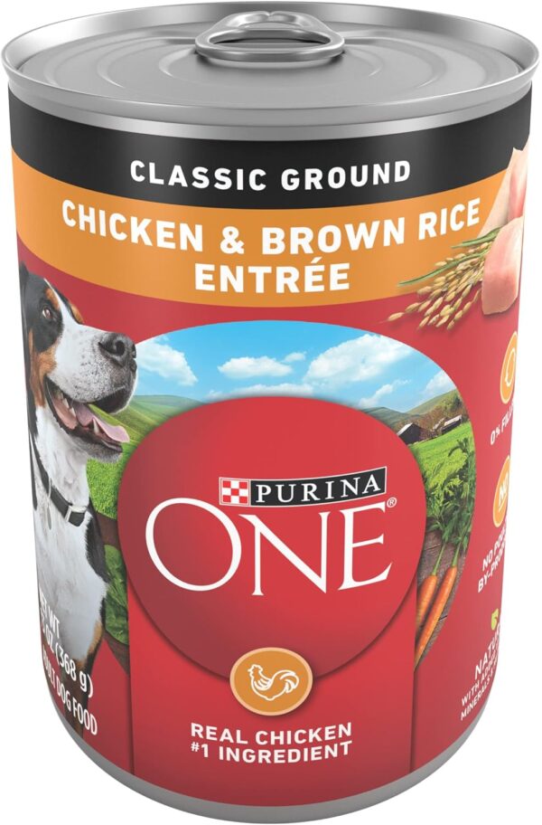 Purina ONE Classic Ground Chicken and Brown Rice Entree Adult Wet Dog Food - (Pack of 12) 13 oz. Cans